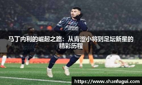 马丁内利的崛起之路：从青涩小将到足坛新星的精彩历程